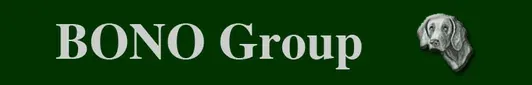 BONO Group